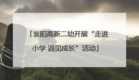 襄阳高新二幼开展“走进小学 遇见成长”活动