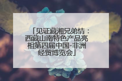 见证藏湘兄弟情：西藏山南特色产品亮相第四届中国-非洲经贸博览会