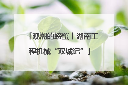 观潮的螃蟹丨湖南工程机械“双城记”
