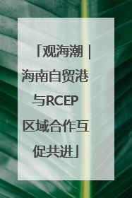 观海潮｜海南自贸港与RCEP区域合作互促共进