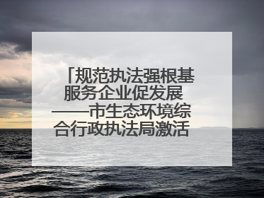 规范执法强根基 服务企业促发展——市生态环境综合行政执法局激活营商环境“绿色动能”