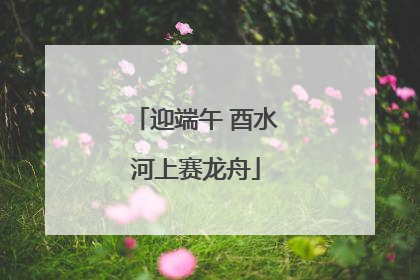 迎端午 酉水河上赛龙舟