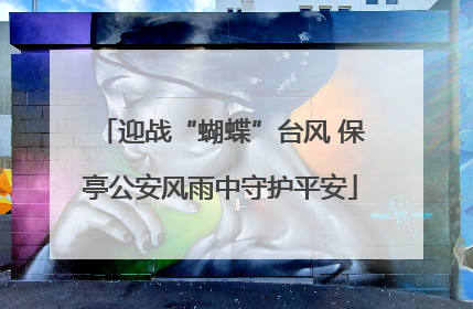 迎战“蝴蝶”台风 保亭公安风雨中守护平安