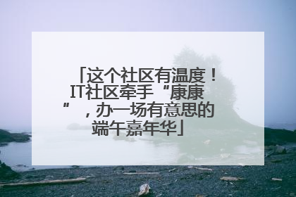 这个社区有温度！IT社区牵手“康康”，办一场有意思的端午嘉年华