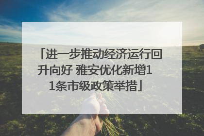 进一步推动经济运行回升向好 雅安优化新增11条市级政策举措