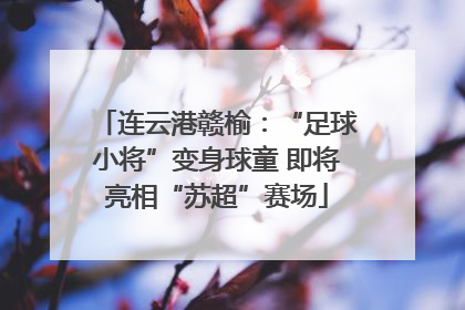 连云港赣榆：“足球小将”变身球童 即将亮相“苏超”赛场