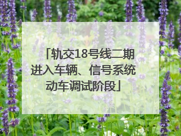 轨交18号线二期进入车辆、信号系统动车调试阶段