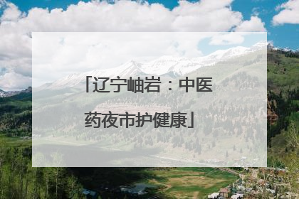 辽宁岫岩：中医药夜市护健康