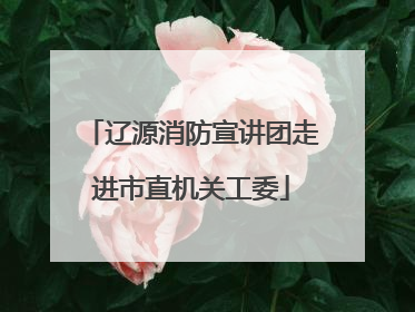 辽源消防宣讲团走进市直机关工委