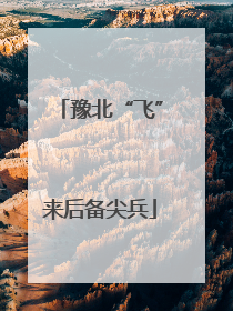 豫北“飞”来后备尖兵