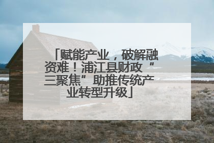 赋能产业，破解融资难！浦江县财政“三聚焦”助推传统产业转型升级