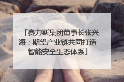 赛力斯集团董事长张兴海：期望产业链共同打造智能安全生态体系