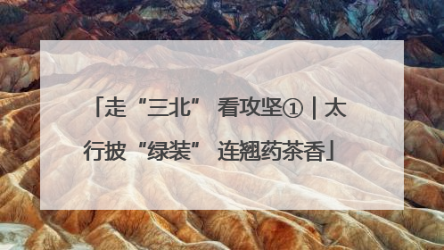 走“三北” 看攻坚①｜太行披“绿装” 连翘药茶香
