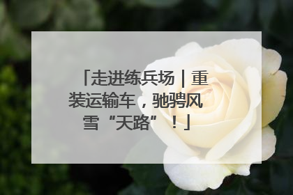 走进练兵场｜重装运输车，驰骋风雪“天路”！