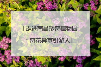 走进南昌珍奇植物园：奇花异草引游人