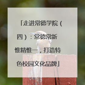 走进常德学院（四）：常德常新 惟精惟一，打造特色校园文化品牌