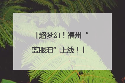 超梦幻！福州“蓝眼泪”上线！