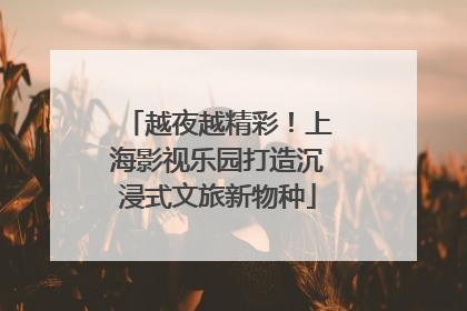 越夜越精彩！上海影视乐园打造沉浸式文旅新物种