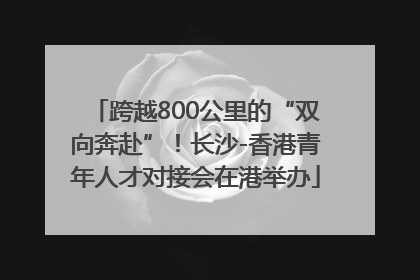 跨越800公里的“双向奔赴”！长沙-香港青年人才对接会在港举办