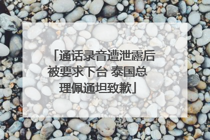 通话录音遭泄露后被要求下台 泰国总理佩通坦致歉