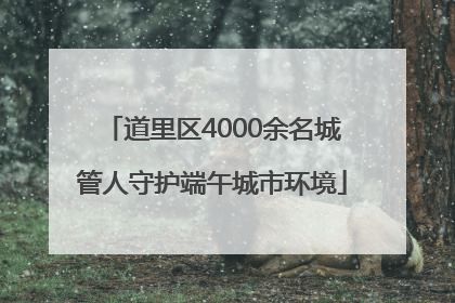 道里区4000余名城管人守护端午城市环境