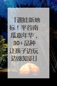 遛娃新地标！平谷南瓜嘉年华，30+品种让孩子边玩边涨知识