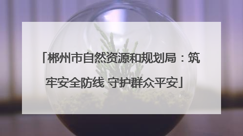 郴州市自然资源和规划局：筑牢安全防线 守护群众平安