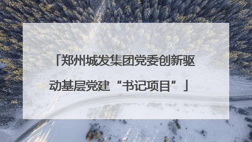 郑州城发集团党委创新驱动基层党建“书记项目”