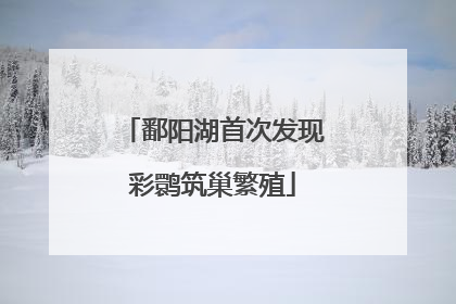 鄱阳湖首次发现彩鹮筑巢繁殖