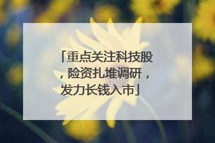 重点关注科技股，险资扎堆调研，发力长钱入市