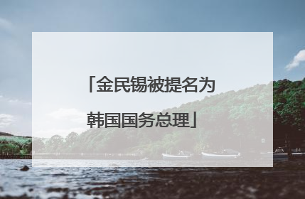 金民锡被提名为韩国国务总理