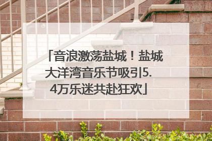音浪激荡盐城！盐城大洋湾音乐节吸引5.4万乐迷共赴狂欢
