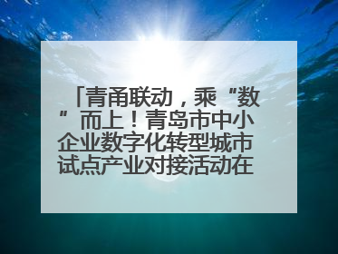 青甬联动，乘“数”而上！青岛市中小企业数字化转型城市试点产业对接活动在宁波开班