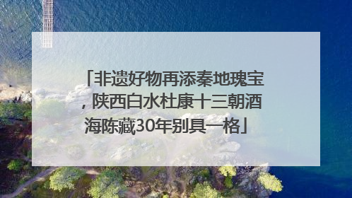 非遗好物再添秦地瑰宝，陕西白水杜康十三朝酒海陈藏30年别具一格
