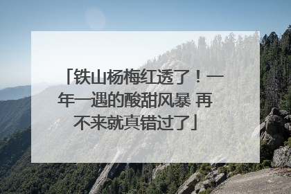 铁山杨梅红透了！一年一遇的酸甜风暴 再不来就真错过了
