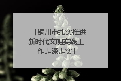 铜川市扎实推进新时代文明实践工作走深走实