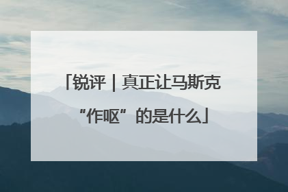 锐评｜真正让马斯克“作呕”的是什么