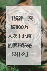 锐评｜突破800万人次！北京的圈粉秘籍是什么