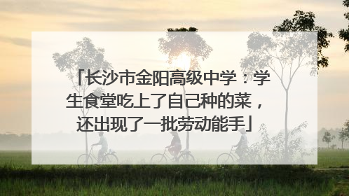 长沙市金阳高级中学：学生食堂吃上了自己种的菜，还出现了一批劳动能手