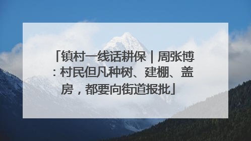 镇村一线话耕保｜周张博：村民但凡种树、建棚、盖房，都要向街道报批