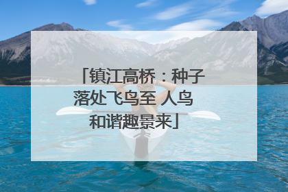 镇江高桥：种子落处飞鸟至 人鸟和谐趣景来