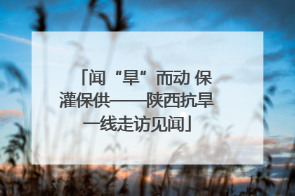 闻“旱”而动 保灌保供——陕西抗旱一线走访见闻