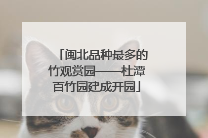 闽北品种最多的竹观赏园——杜潭百竹园建成开园
