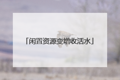 闲置资源变增收活水