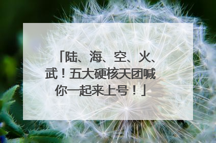 陆、海、空、火、武！五大硬核天团喊你一起来上号！