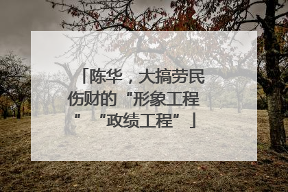 陈华，大搞劳民伤财的“形象工程”“政绩工程”