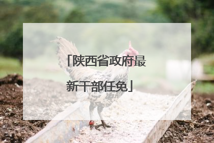 陕西省政府最新干部任免