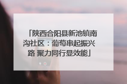陕西合阳县新池镇南沟社区：葡萄串起振兴路 聚力同行显效能
