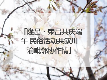 隆昌・荣昌共庆端午 民俗活动共叙川渝毗邻协作情