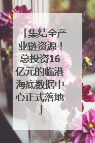 集结全产业链资源！总投资16亿元的临港海底数据中心正式落地